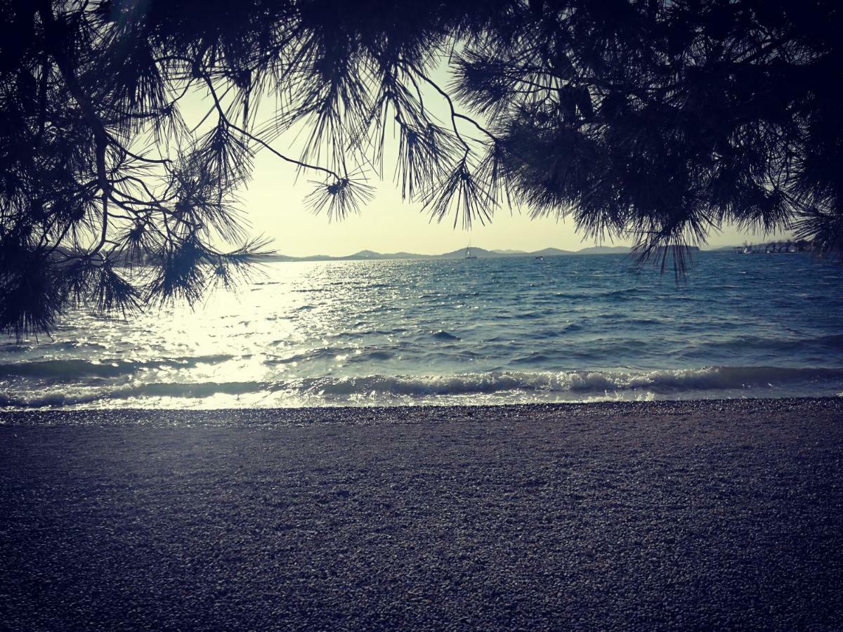 Casa Trussardi Διαμέρισμα Pirovac Εξωτερικό φωτογραφία